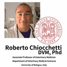 Professor Roberto Chiocchetti sa Sveučilišta u Bologni