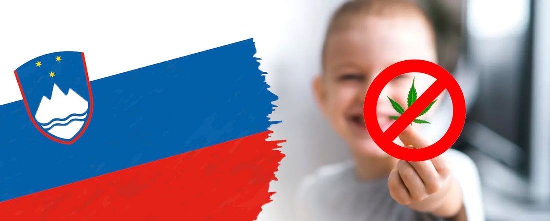 Slovenia’s CBD debate in 2019: inspections and safety concerns