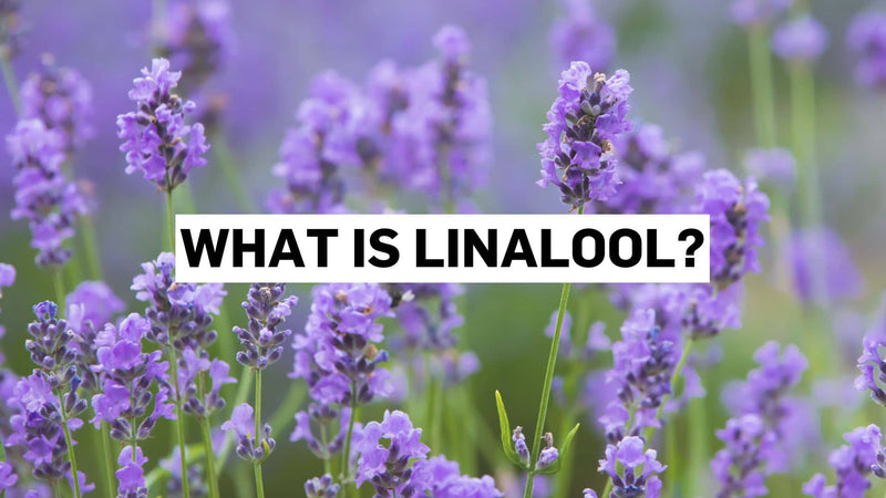 Što je linalol?