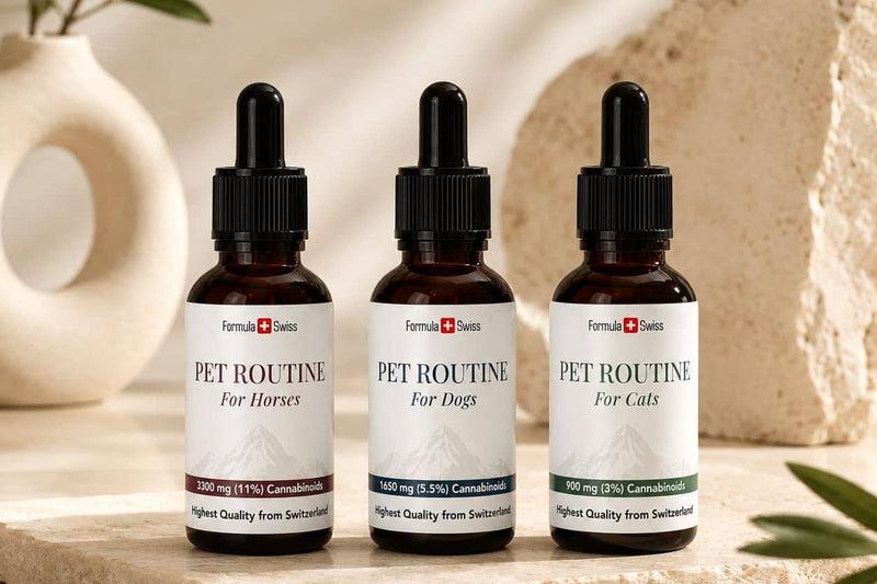 Formula Swiss Pet Routine CBD ulja za konje, pse i mačke na kamenoj podlozi