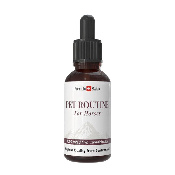 Pet Routine za konje